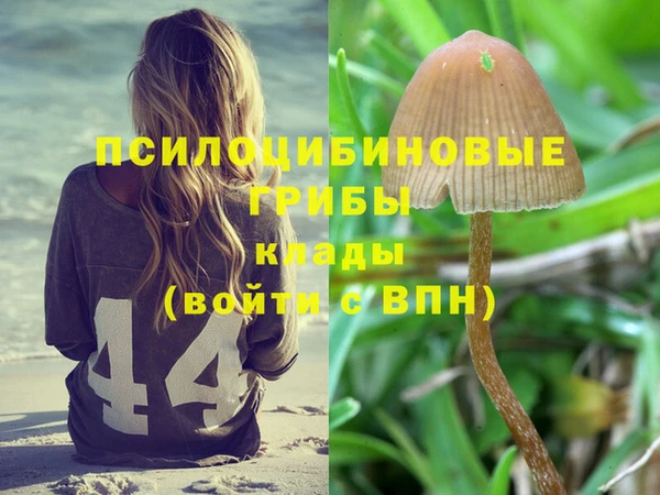 крисы Арсеньев