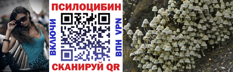 купить наркотики цена Микунь Псилоцибиновые грибы ЛСД